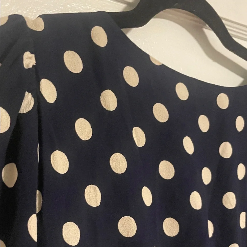 J. Crew Classic Polka Dot Blouse size 6